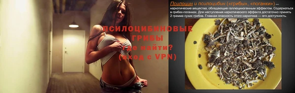трава Алексин