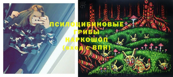 мяу мяу мука Алексеевка