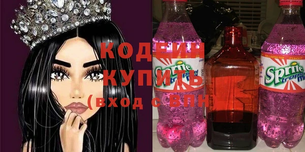 гашик Няндома