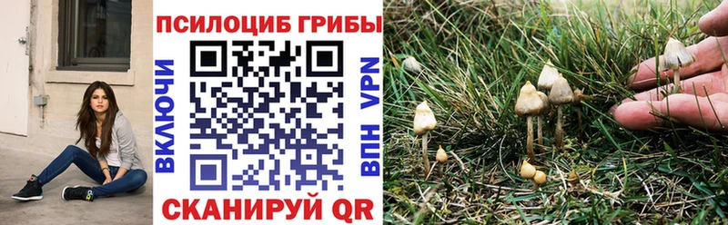 где продают   МЕГА как войти  Галлюциногенные грибы Cubensis  Артёмовский 